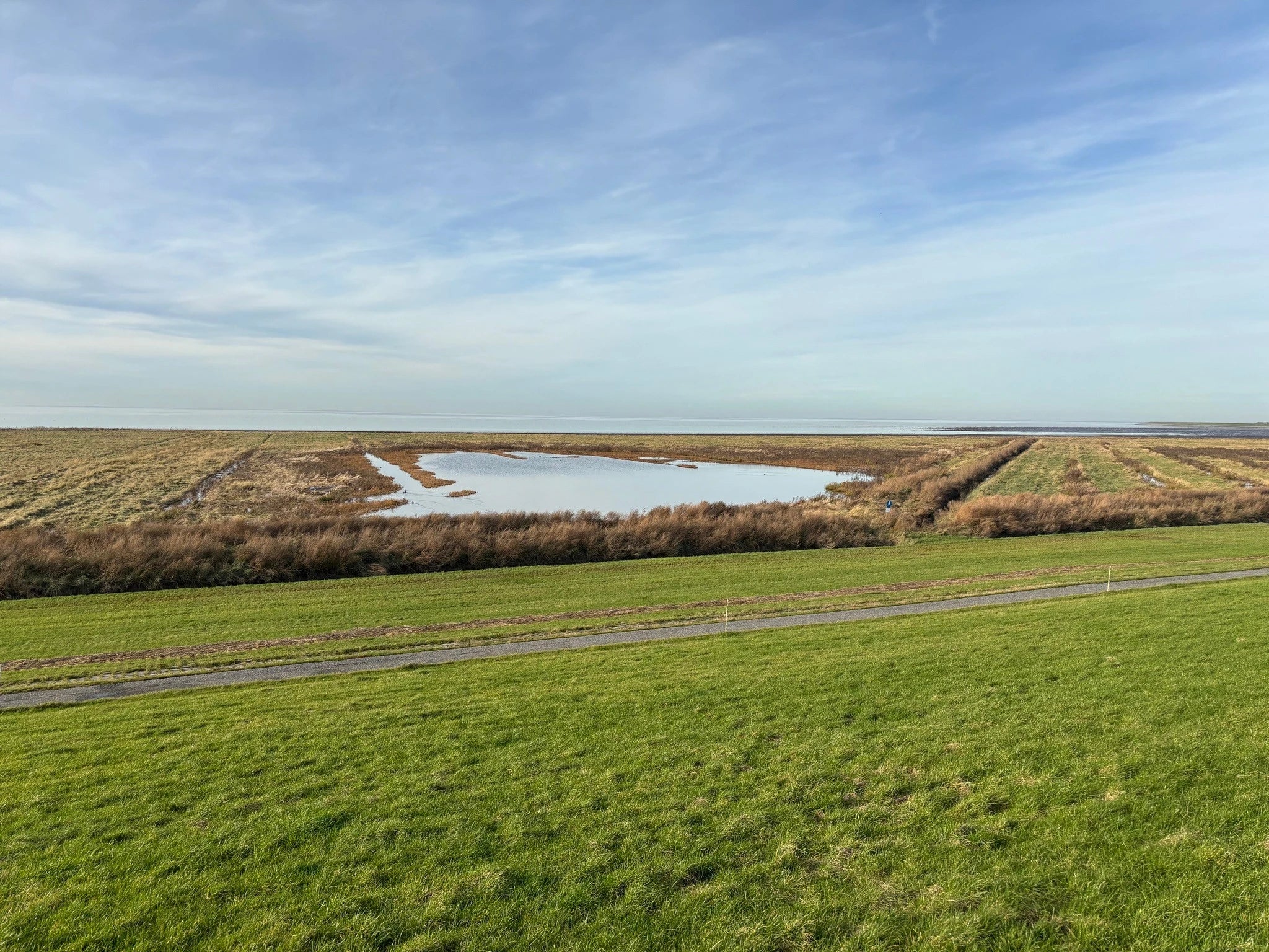 Blick vom grünen Deich in Neßmersiel auf die ostfriesischen Salzwiesen und das Wattenmeer an der Nordsee unter blauem Himmel.